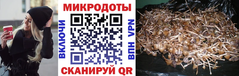 Купить где  Тетюши  Галлюциногенные грибы мухоморы 